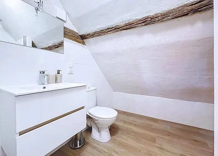 Charming Terrace And Parking * Le Mans